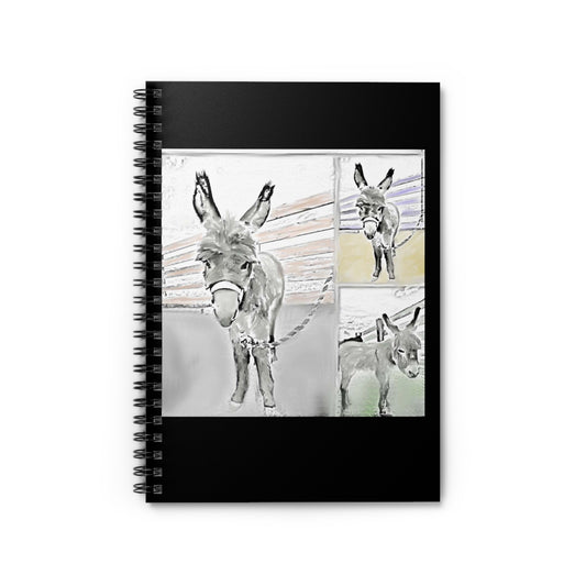 Donkey Journal
