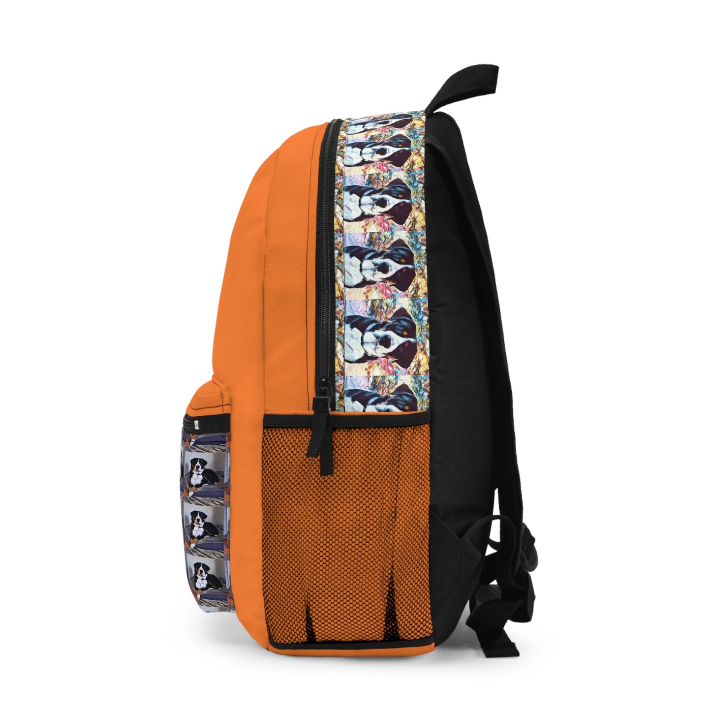 Fritz Swiss Mountain Backpack