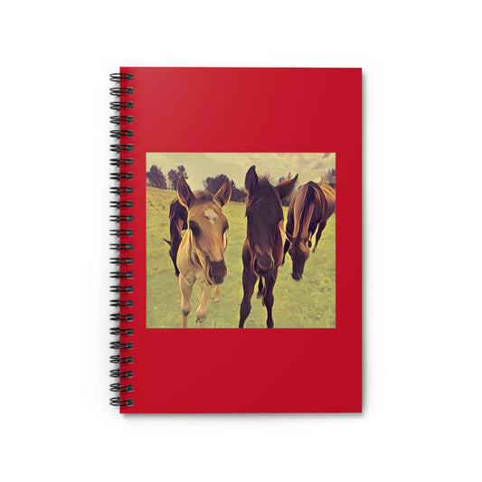 Foals Notebook