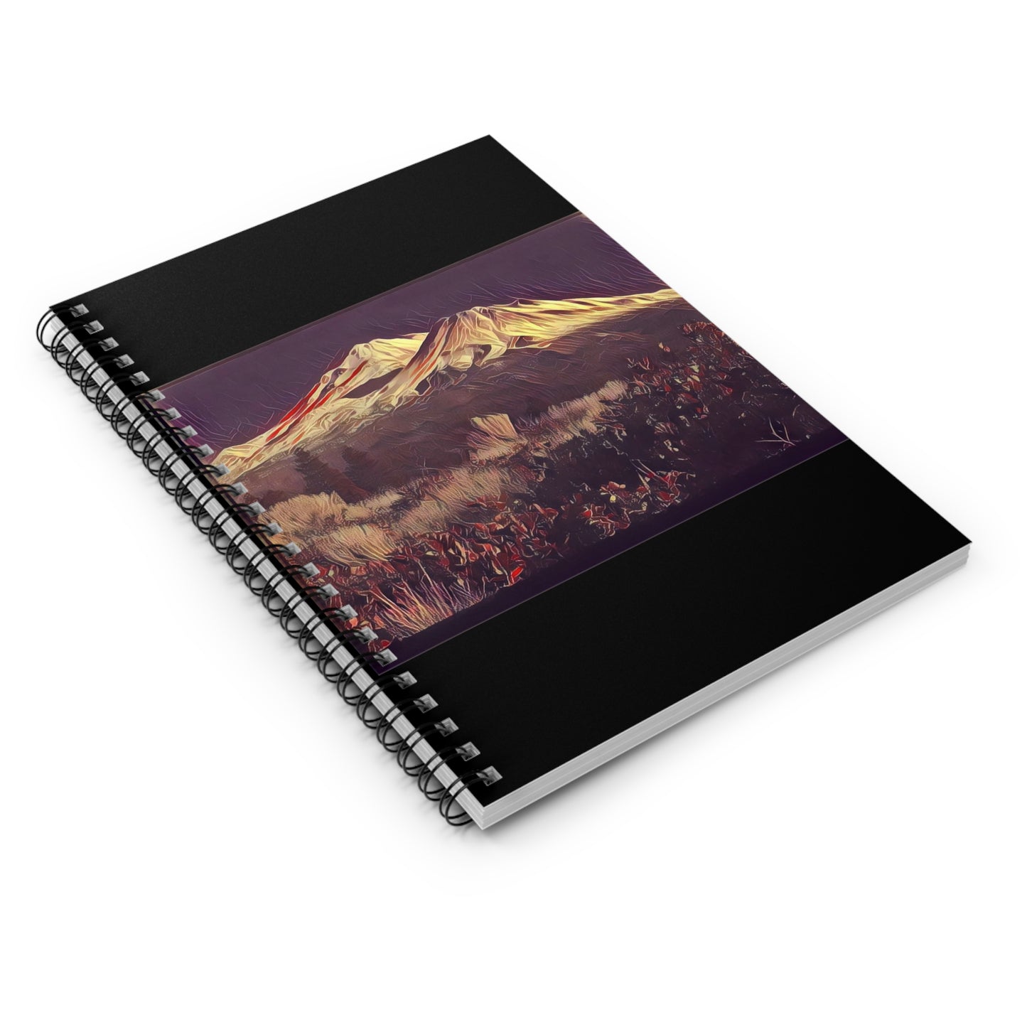 Mount Shasta Notebook