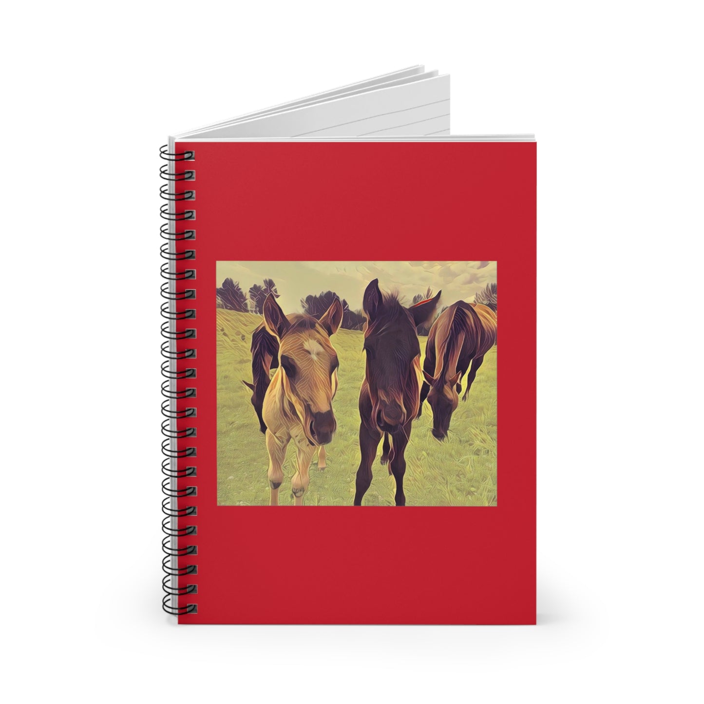 Foals Notebook