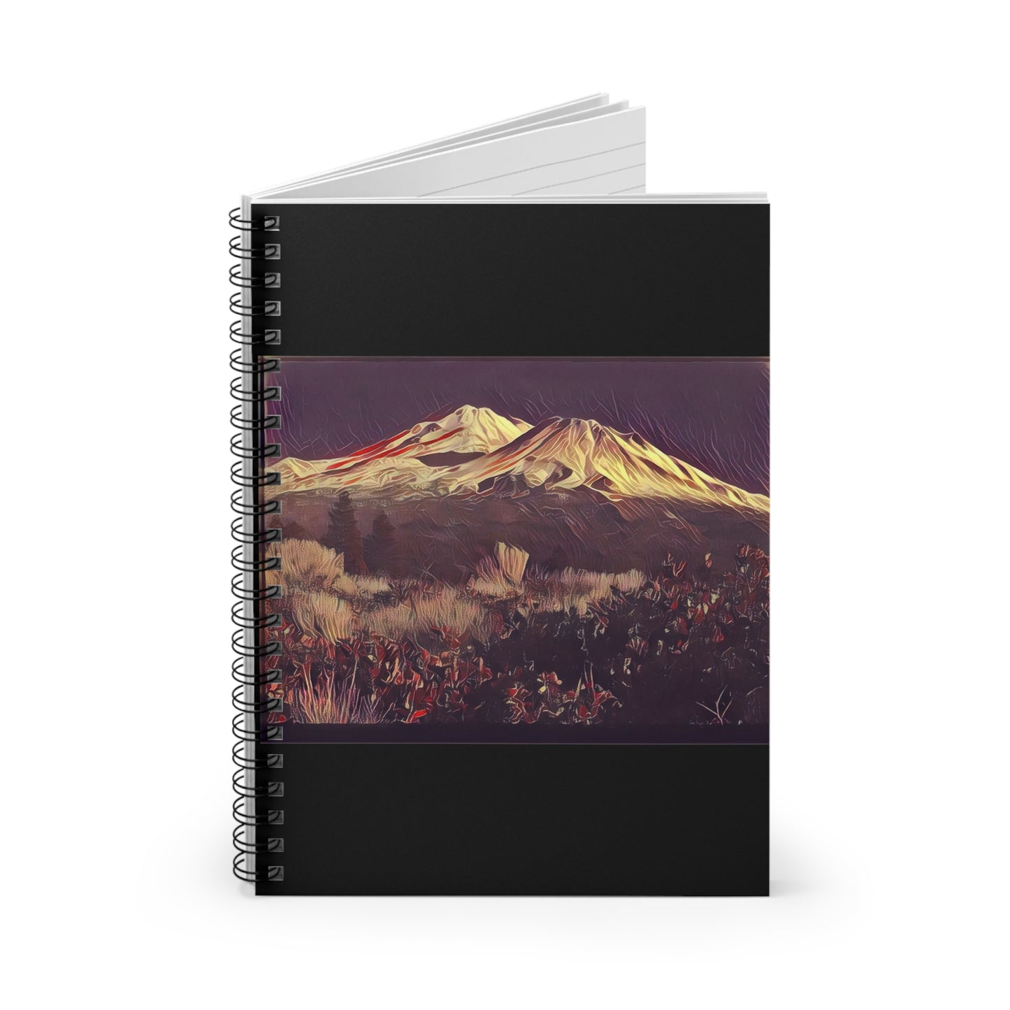 Mount Shasta Notebook