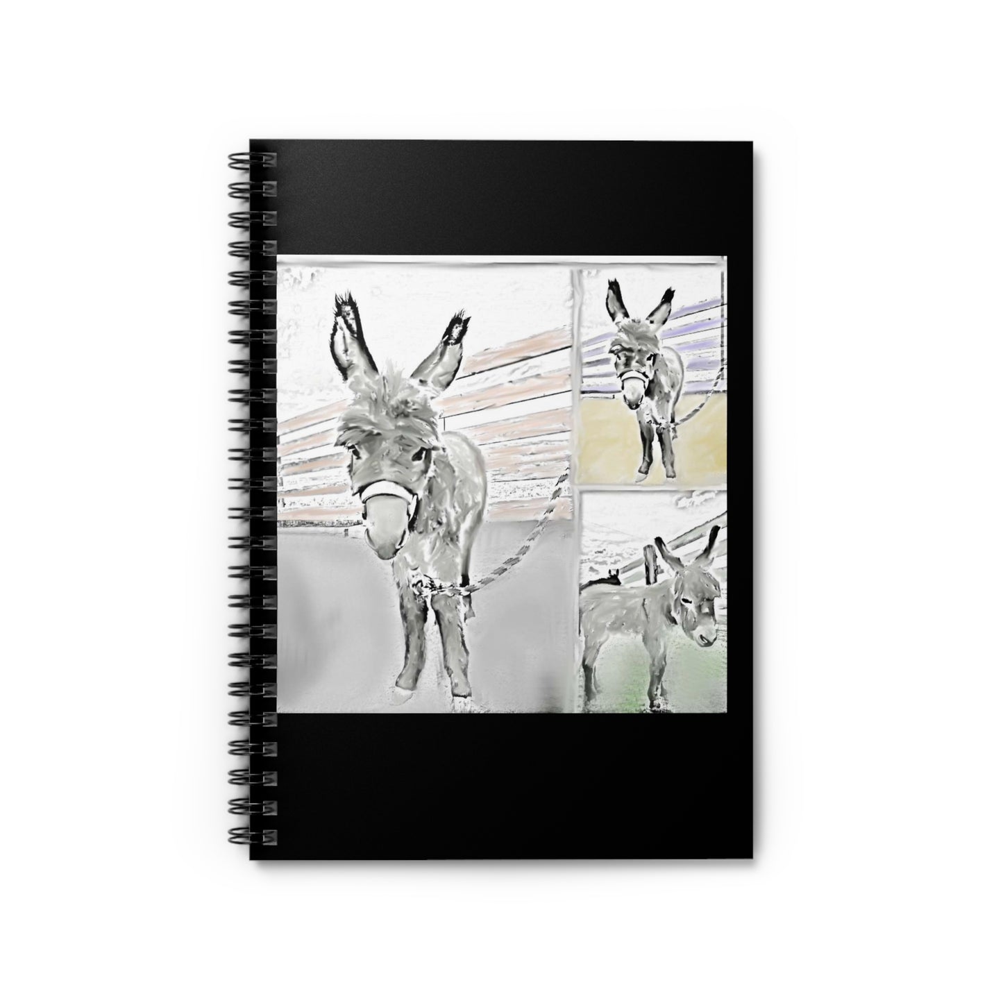 Donkey Journal