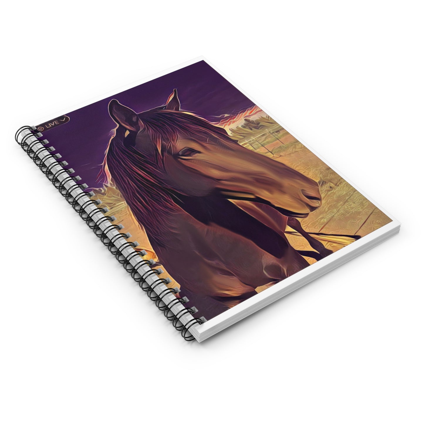 Cinder Notebook