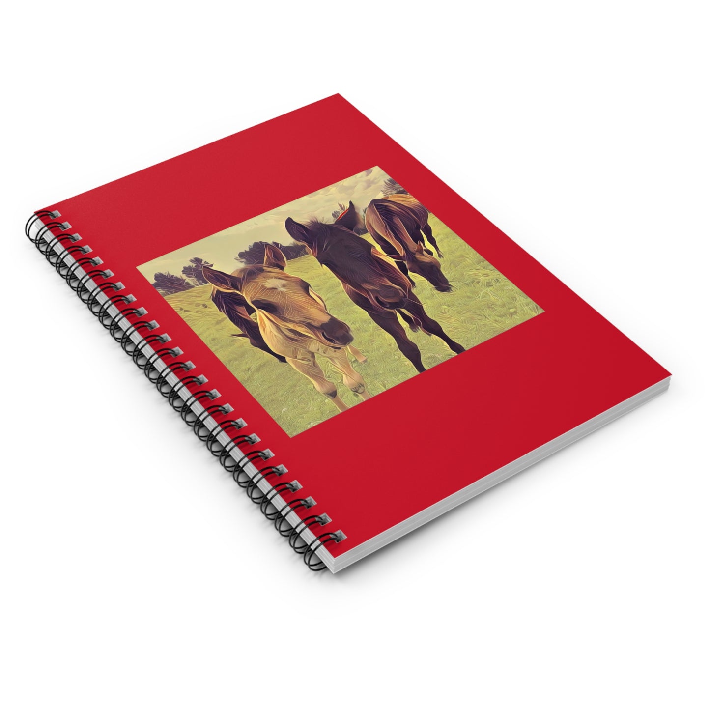 Foals Notebook